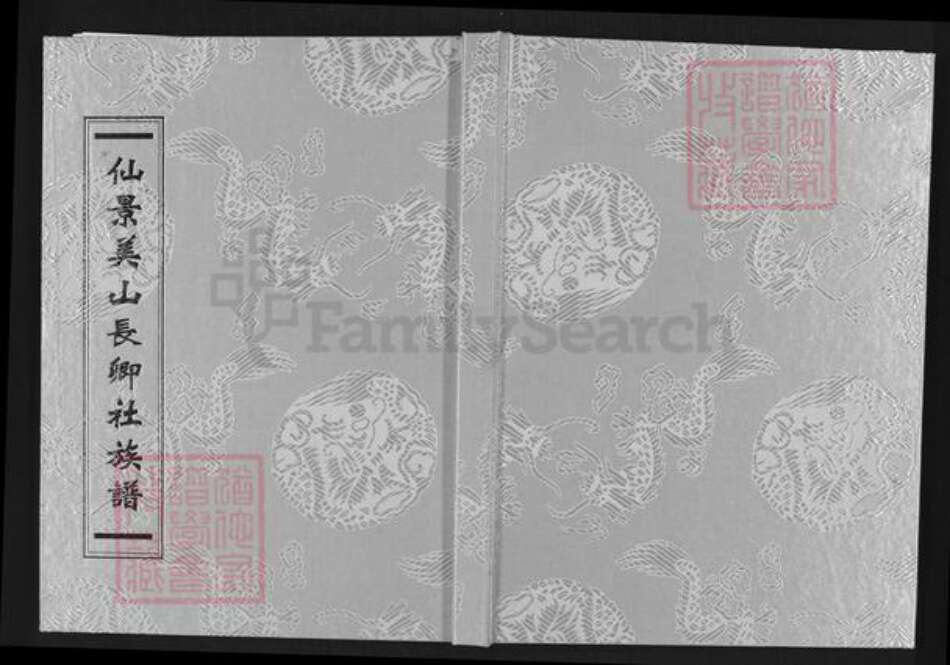 福建省泉州市安溪县长坑乡李氏金源堂族谱-仙景美山长卿社族谱.pdf电子版缩略图