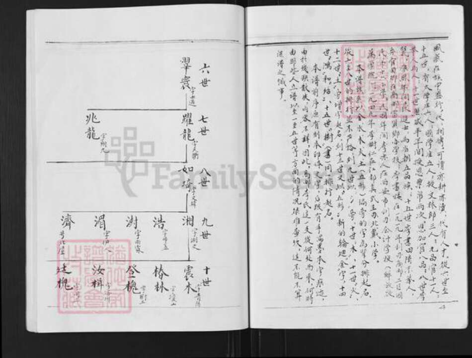 江苏省扬州市高邮市李氏族谱-李氏宗谱.pdf电子版预览图3