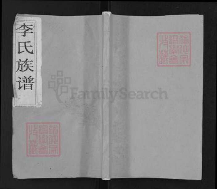 湖北省黄冈市李氏族谱-李氏族谱.pdf电子版缩略图