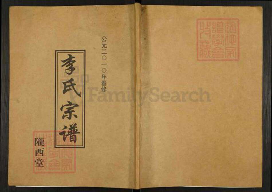 江苏省盐城市亭湖区李氏陇西堂族谱-盐城李氏宗谱.pdf电子版缩略图