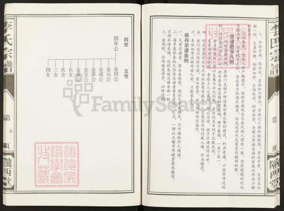 江苏省盐城市亭湖区李氏陇西堂族谱-盐城李氏宗谱.pdf电子版预览图5