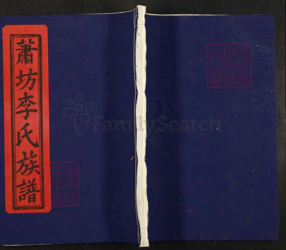 江西省南昌市青山湖区湖坊镇李氏蟠根堂族谱-萧坊李氏族谱.pdf电子版缩略图