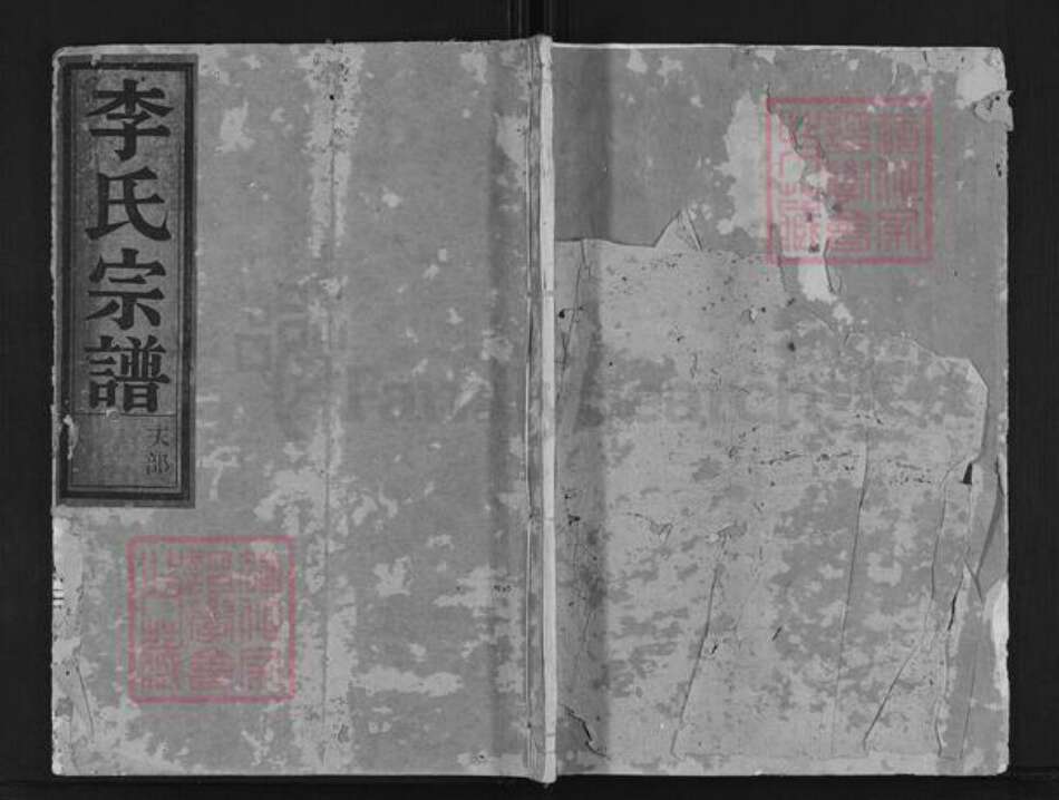 浙江省金华市武义县李氏族谱-李氏宗谱.pdf电子版缩略图