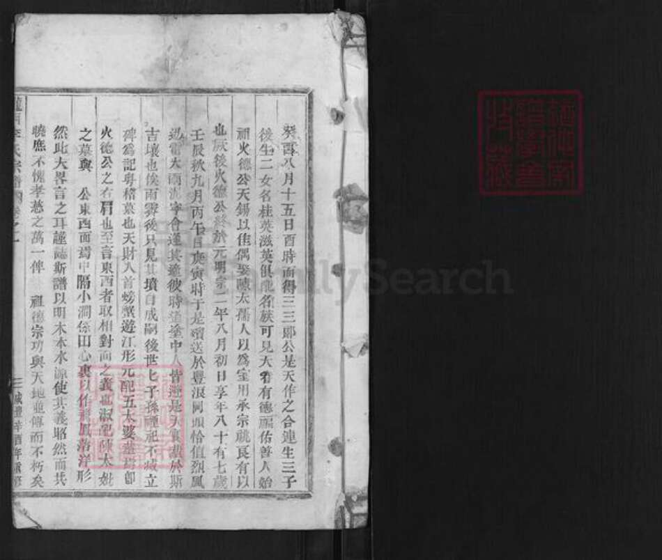 浙江省金华市武义县王宅镇李氏族谱-陇西李氏宗谱.pdf电子版预览图1