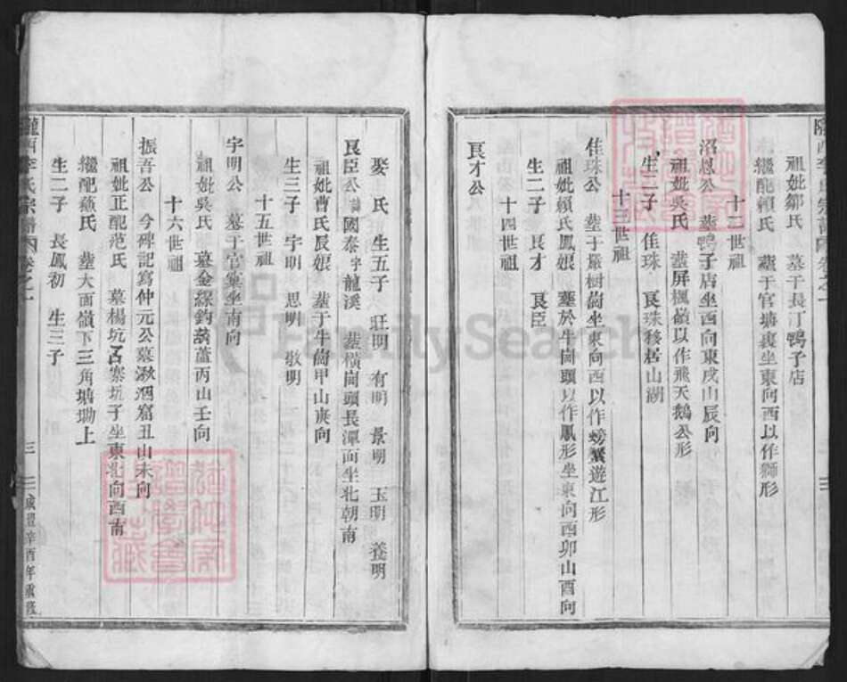 浙江省金华市武义县王宅镇李氏族谱-陇西李氏宗谱.pdf电子版预览图4