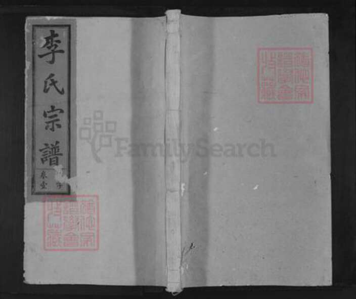 江西省上饶市李氏集庆堂族谱-李氏宗谱.pdf电子版缩略图