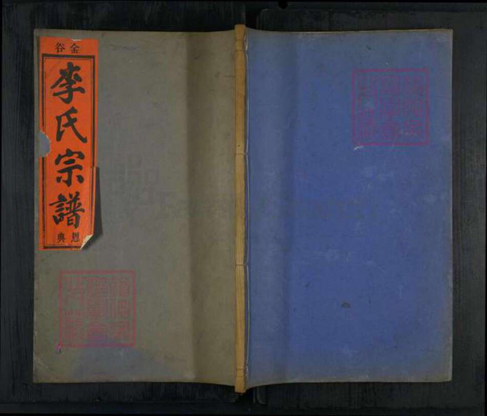 浙江省丽水市缙云县李氏族谱-金谷李氏宗谱.pdf电子版缩略图