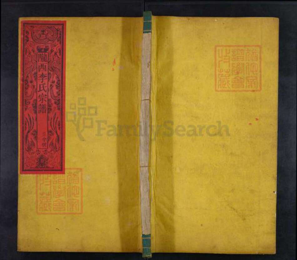 浙江省李氏善庆堂族谱-陇西李氏宗谱.pdf电子版缩略图