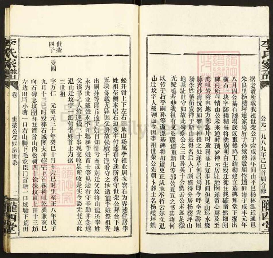 湖北省咸宁市通城县李氏龙西堂族谱-李氏家谱.pdf电子版预览图2