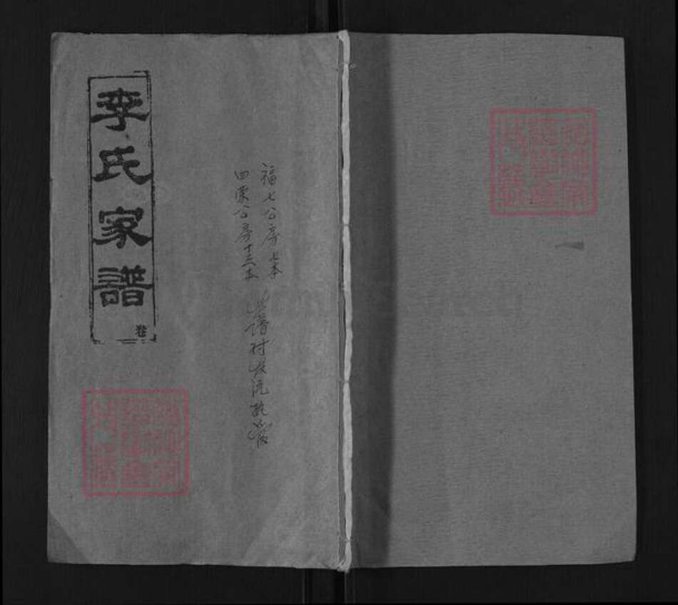 湖北省咸宁市通城县李氏陇西堂族谱-李氏家谱.pdf电子版缩略图