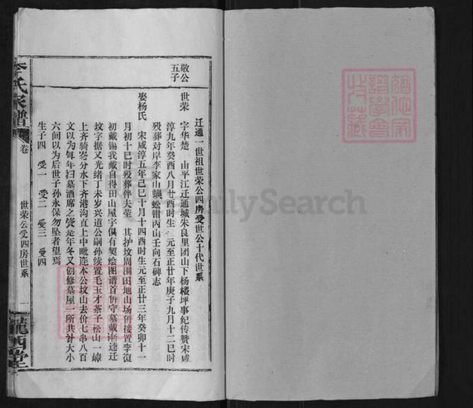 湖北省咸宁市通城县李氏陇西堂族谱-李氏家谱.pdf电子版预览图1