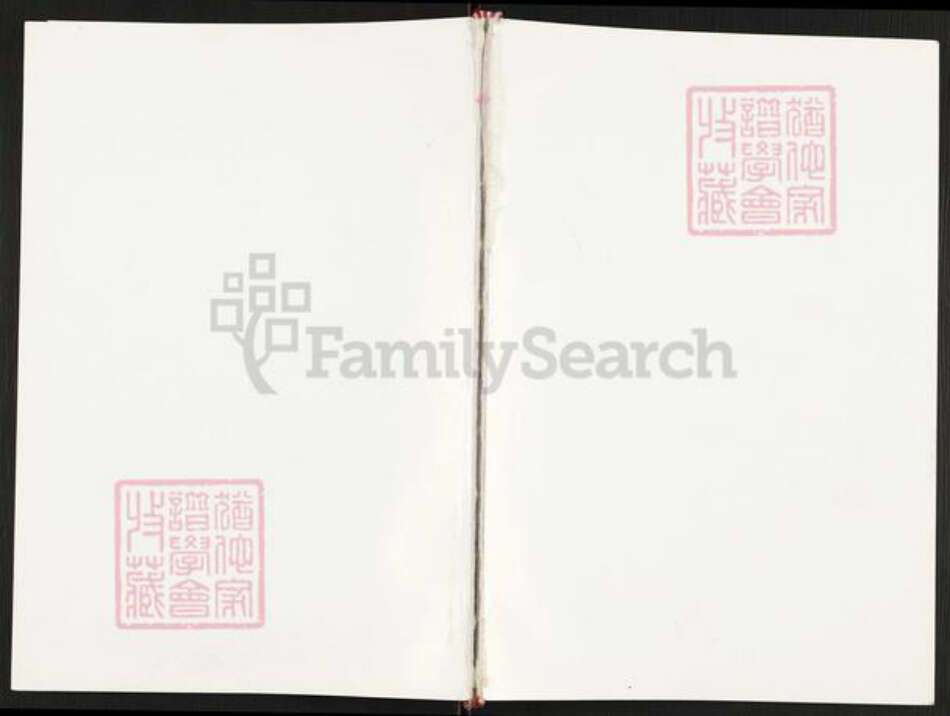 河南省南阳市方城县杨集镇李氏族谱-李氏家谱.pdf电子版缩略图