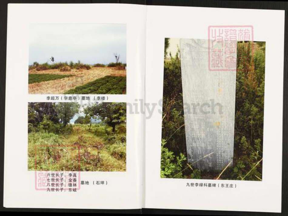 河南省南阳市方城县杨集镇李氏族谱-李氏家谱.pdf电子版预览图4 河南省南阳市方城县杨集镇李氏族谱-李氏家谱.pdf电子版预览图4