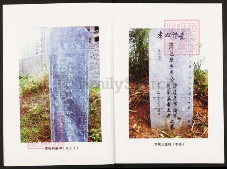 河南省南阳市方城县杨集镇李氏族谱-李氏家谱.pdf电子版预览图5 河南省南阳市方城县杨集镇李氏族谱-李氏家谱.pdf电子版预览图5