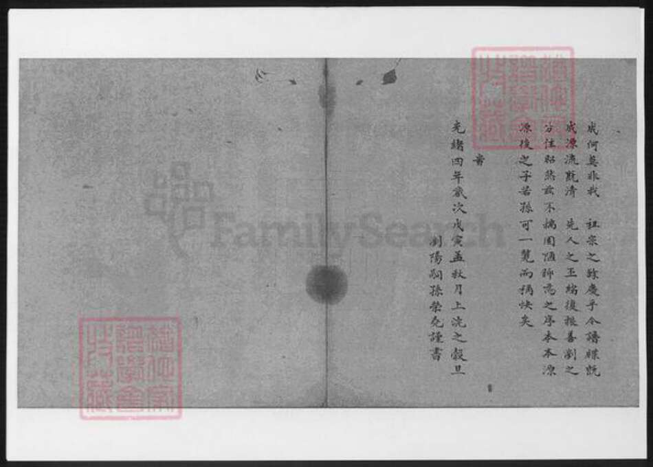 浙江省李氏族谱-四明李氏宗谱.pdf电子版预览图2