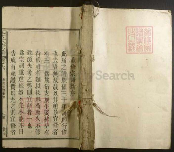 福建省李氏族谱-李氏宗谱.pdf电子版缩略图