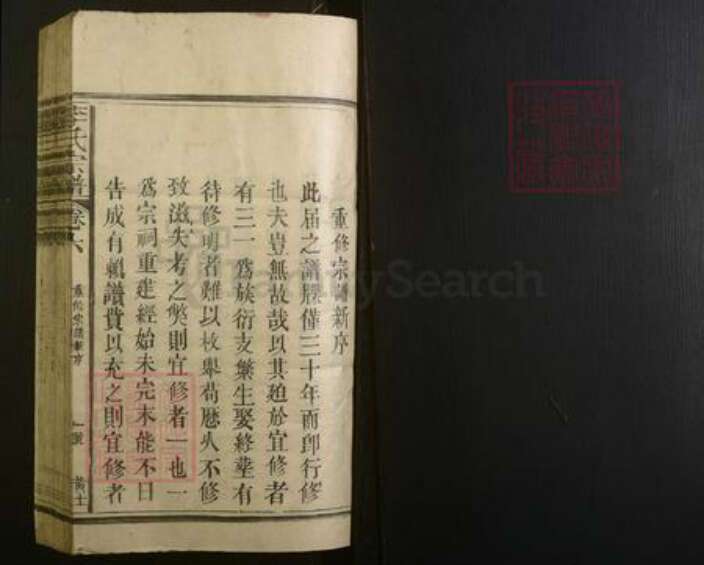 福建省李氏族谱-李氏宗谱.pdf电子版预览图1