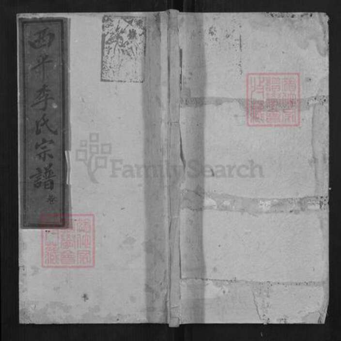 湖南省衡阳市李氏族谱-西平李氏三修宗谱.pdf电子版缩略图