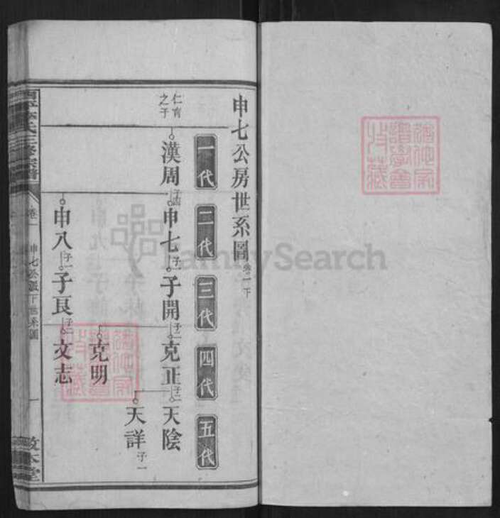 湖南省衡阳市李氏族谱-西平李氏三修宗谱.pdf电子版预览图1