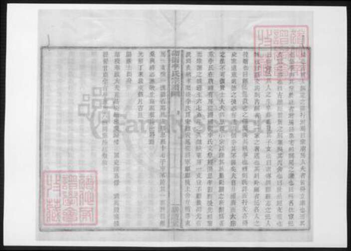 浙江省宁波市李氏族谱-砌街李氏宗谱.pdf电子版预览图3