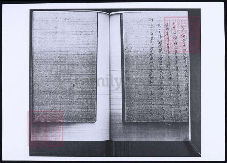 山东省青岛市即墨区李氏族谱-山东即墨鳌山卫东里村李氏族谱.pdf电子版预览图3