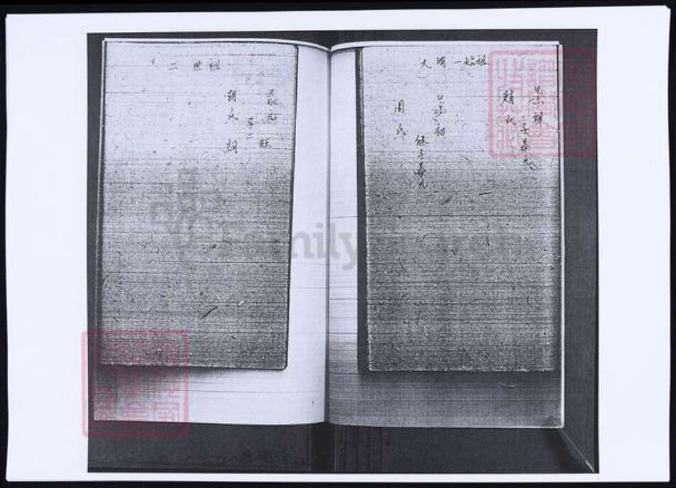 山东省青岛市即墨区李氏族谱-山东即墨鳌山卫东里村李氏族谱.pdf电子版预览图4