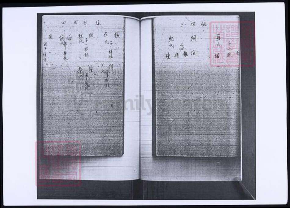 山东省青岛市即墨区李氏族谱-山东即墨鳌山卫东里村李氏族谱.pdf电子版预览图5