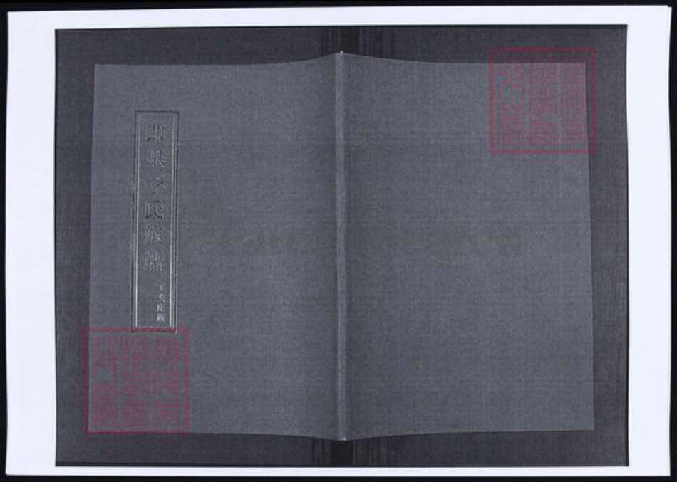 山东省青岛市即墨区李氏族谱-山东即墨丁戈庄李氏族谱.pdf电子版缩略图