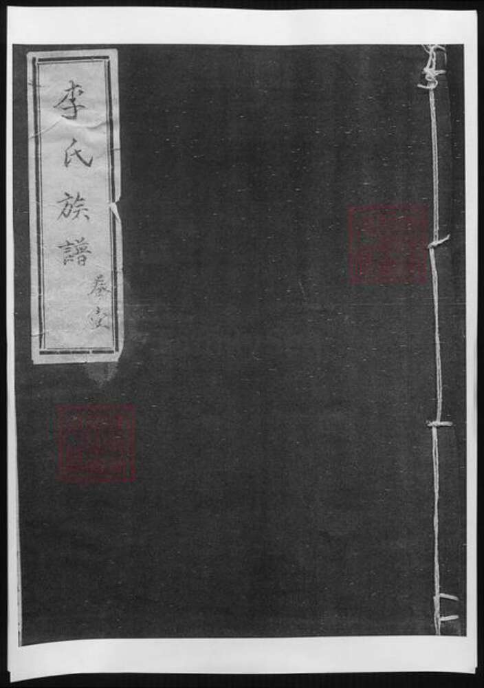 山东省聊城市李氏族谱-李氏族谱.pdf电子版缩略图