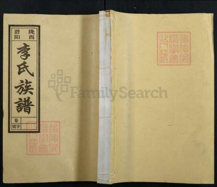 安徽省安庆市潜山市李氏族谱-李氏族谱.pdf电子版缩略图