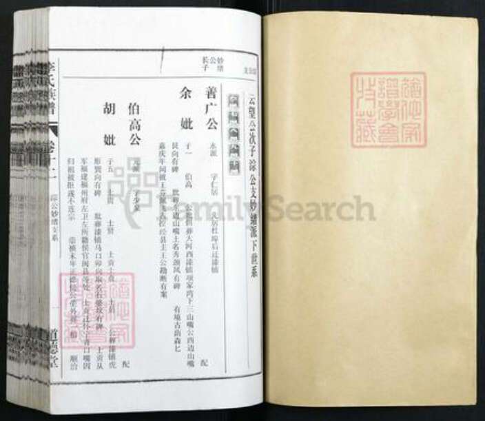 安徽省安庆市潜山市李氏族谱-李氏族谱.pdf电子版预览图1