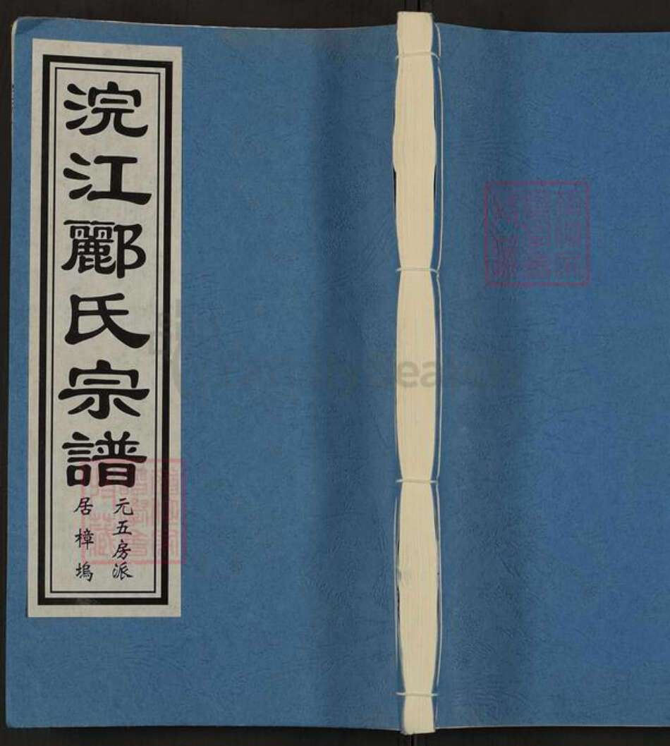 浙江省绍兴诸暨市东和乡郦氏白水堂族谱-浣江郦氏宗谱居樟坞.pdf电子版缩略图