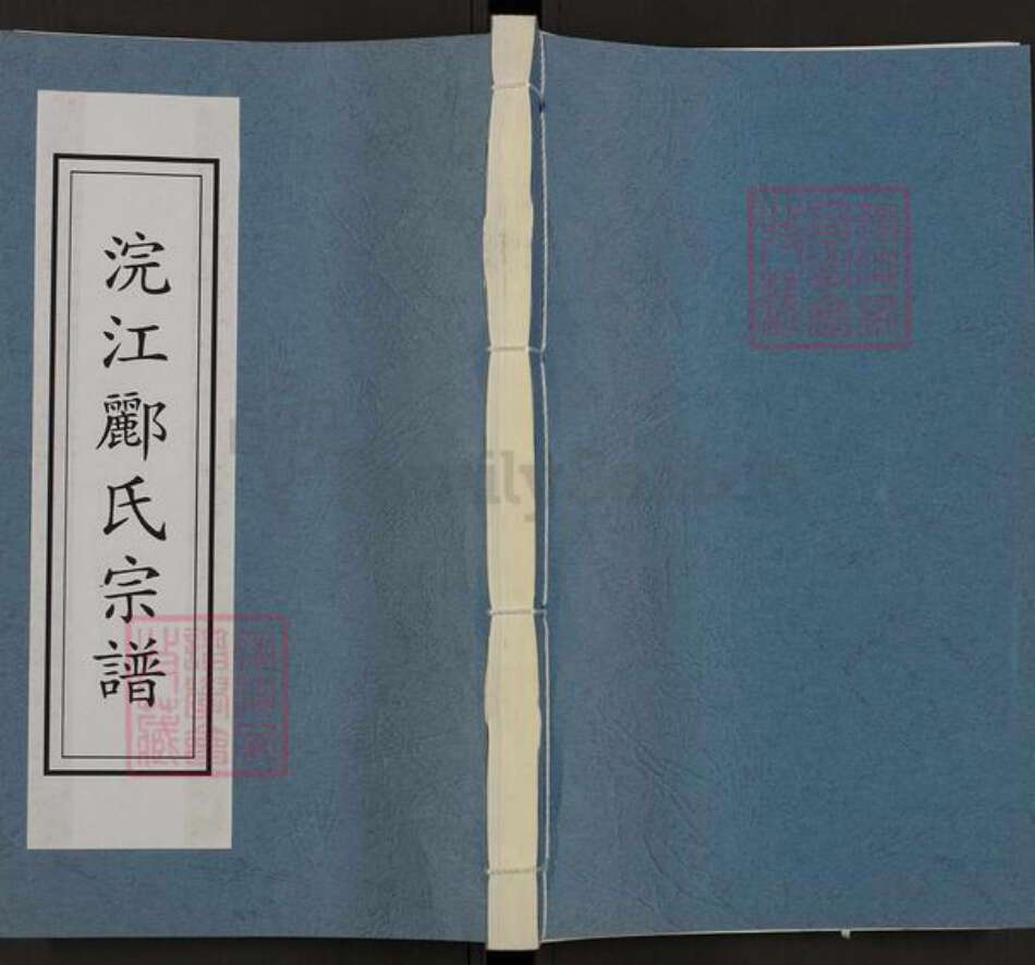 浙江省绍兴诸暨市五泄镇郦氏永思堂族谱-浣江郦氏居十四都五泄.pdf电子版缩略图