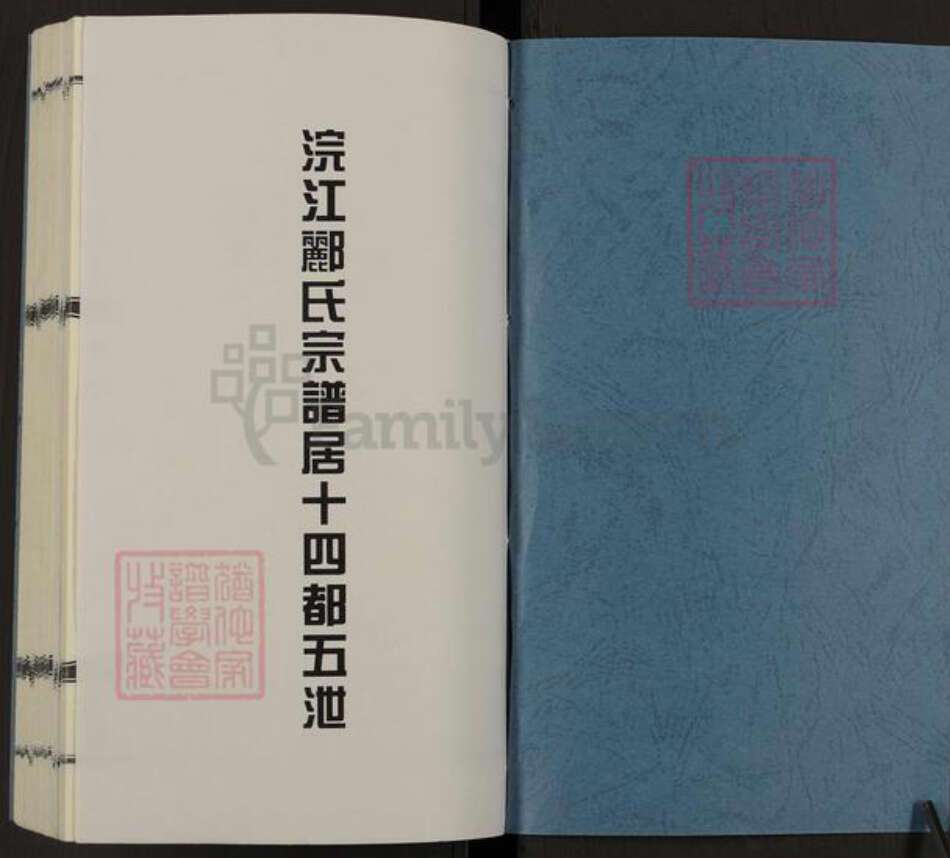浙江省绍兴诸暨市五泄镇郦氏永思堂族谱-浣江郦氏居十四都五泄.pdf电子版预览图1