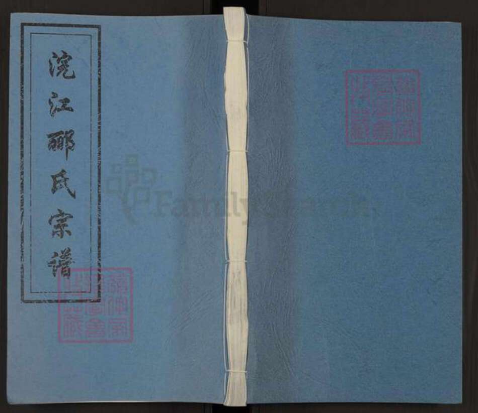 浙江省绍兴诸暨市郦氏永思堂族谱-浣江郦氏宗谱秉彝房派.pdf电子版缩略图