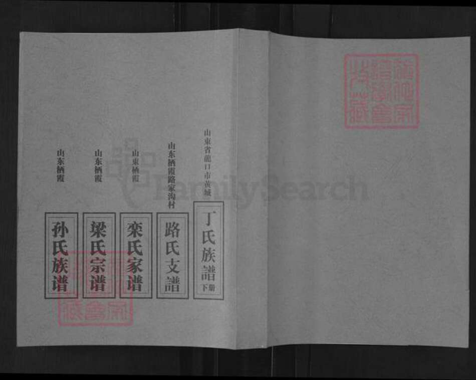 山东省烟台市莱阳市万第镇梁氏族谱-栖霞市梁氏宗谱.pdf电子版缩略图