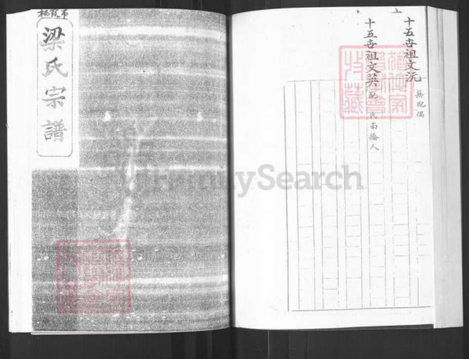 山东省烟台市莱阳市万第镇梁氏族谱-栖霞市梁氏宗谱.pdf电子版预览图1