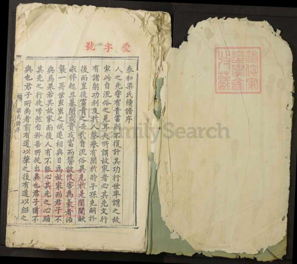 江西省吉安市泰和市梁氏族谱-泰和梁氏族谱.pdf电子版预览图1