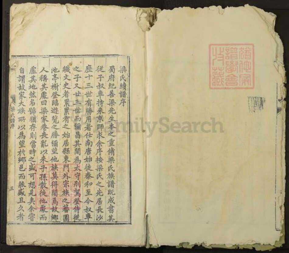 江西省吉安市泰和市梁氏族谱-泰和梁氏族谱.pdf电子版预览图3