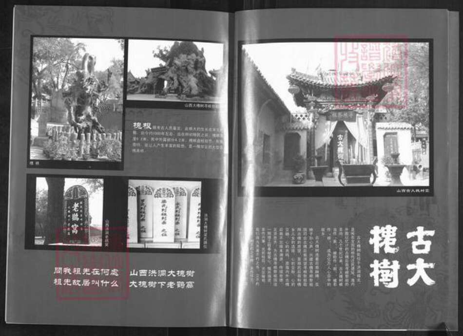 山东省潍坊市高密市姜庄镇梁氏族谱-梁氏简易宗谱.pdf电子版预览图2