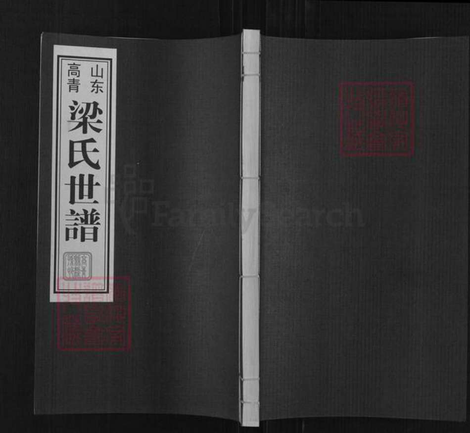 山东省淄博市高青县唐坊镇梁氏族谱-山东高青梁氏世谱.pdf电子版缩略图