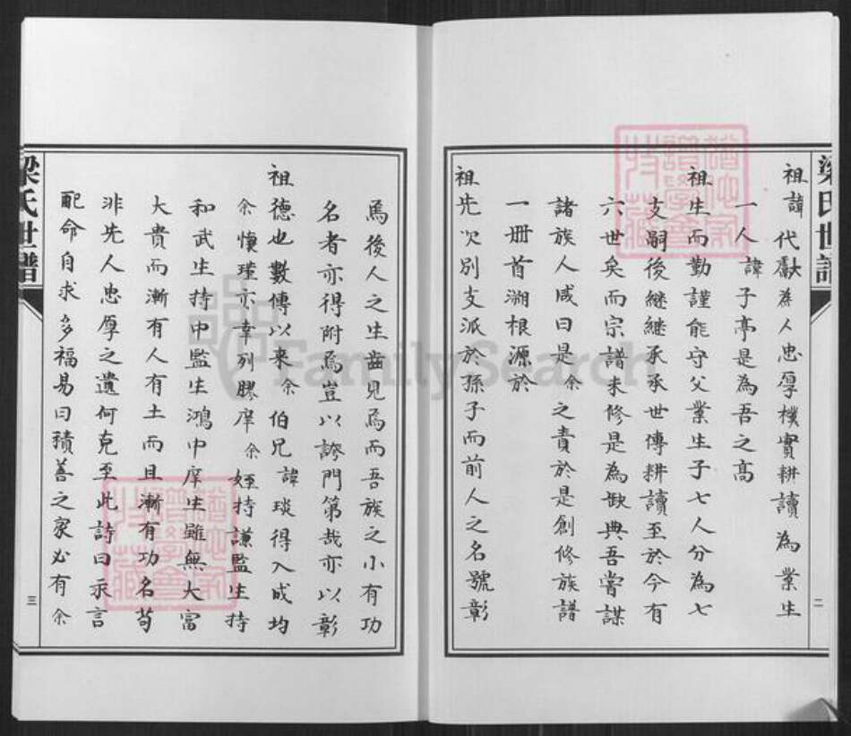 山东省淄博市高青县唐坊镇梁氏族谱-山东高青梁氏世谱.pdf电子版预览图3