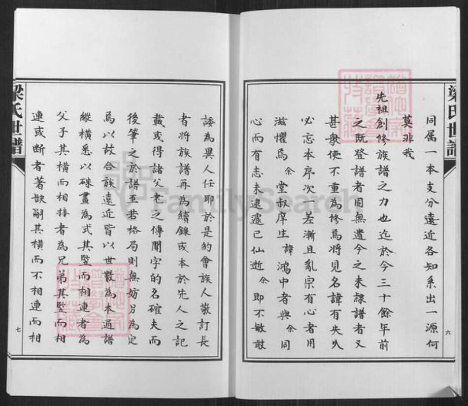 山东省淄博市高青县唐坊镇梁氏族谱-山东高青梁氏世谱.pdf电子版预览图5