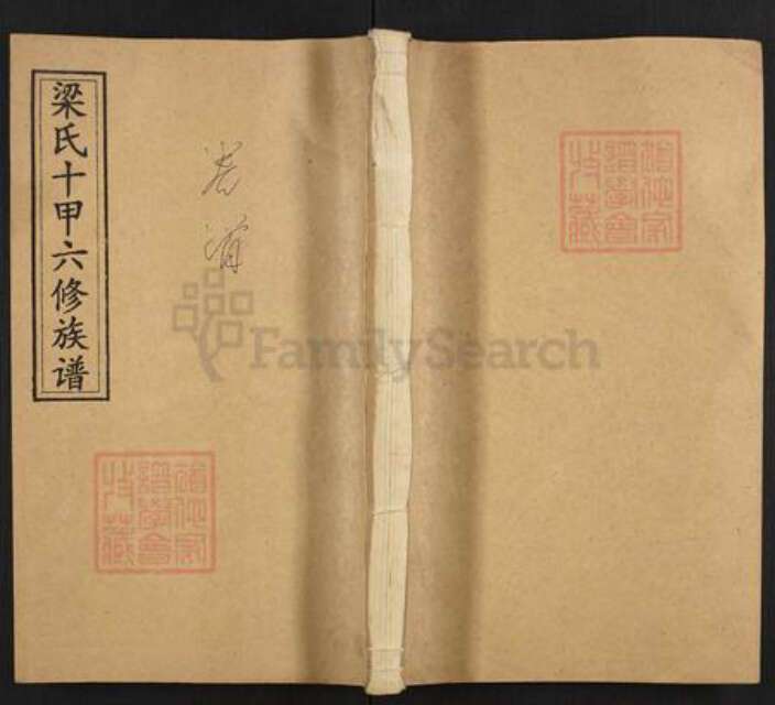 湖南省娄底市涟源市三甲乡梁氏安定堂族谱-梁氏十甲六修族谱.pdf电子版缩略图