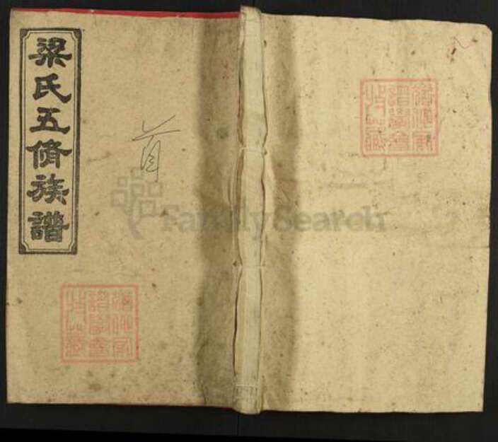 湖南省娄底市涟源市涟源梁氏学府堂族谱-梁氏五修族谱.pdf电子版缩略图