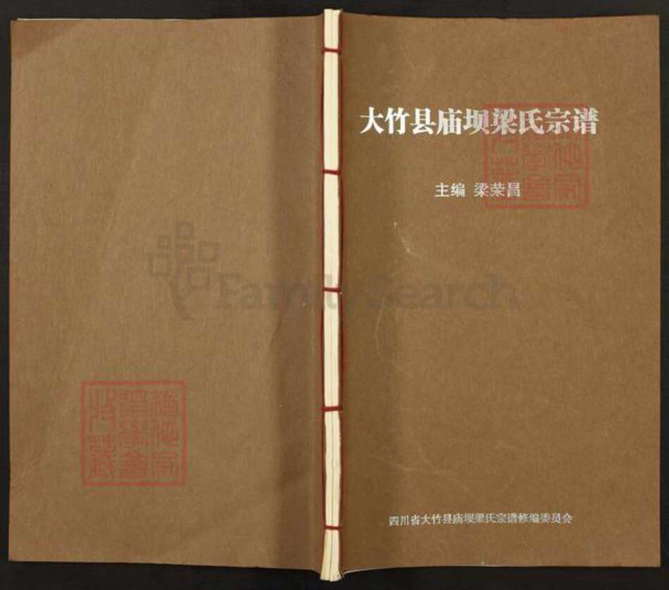 四川省达州市大竹县庙坝镇四川省达川大竹庙坝梁氏族谱-大竹县庙坝梁氏宗谱.pdf电子版缩略图
