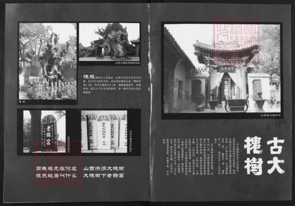 山东省潍坊市高密市梁氏族谱-梁氏简易宗谱.pdf电子版预览图2