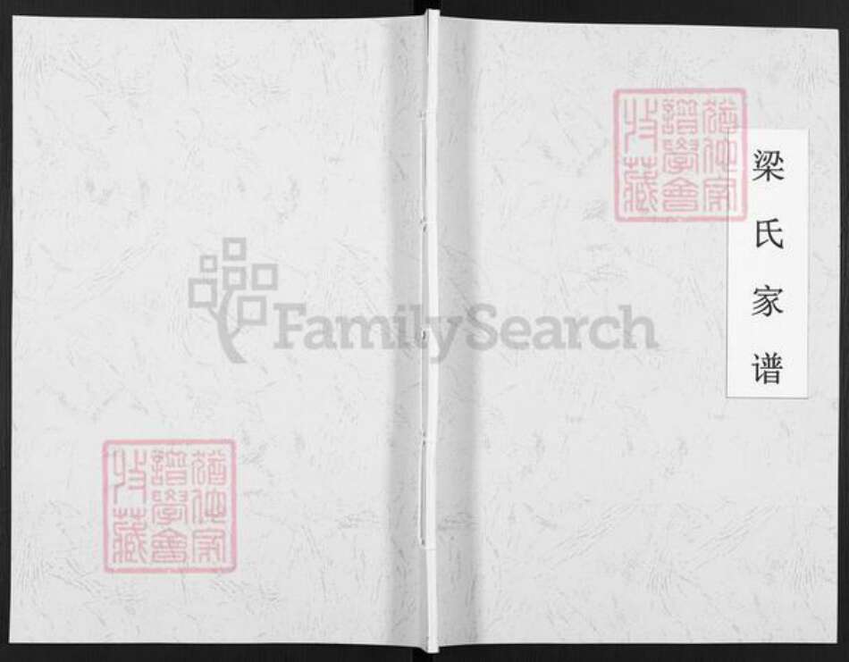 安徽省滁州市天长市梁氏族谱-梁氏家谱.pdf电子版缩略图