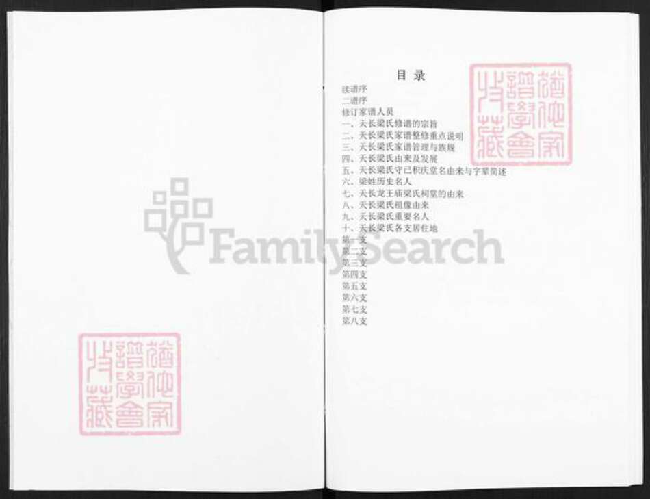 安徽省滁州市天长市梁氏族谱-梁氏家谱.pdf电子版预览图2