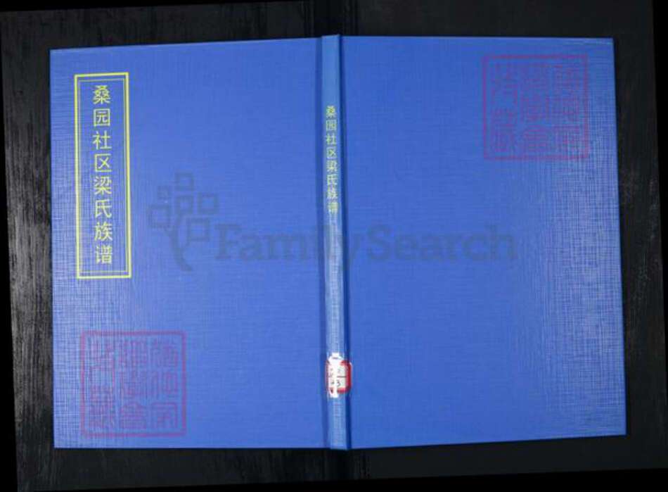 山东省青岛市崂山区梁氏族谱-桑园社区梁氏族谱.pdf电子版缩略图